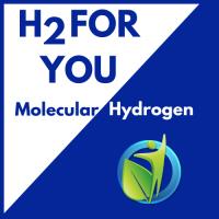 H2 For You image 1